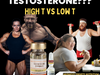 High testosterone vs low men and woman 